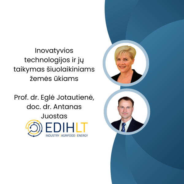 Vytautas Magnus University