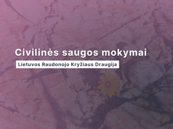 Vytautas Magnus University