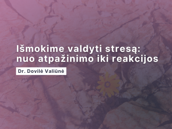 Vytautas Magnus University