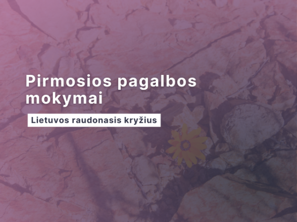 Vytautas Magnus University